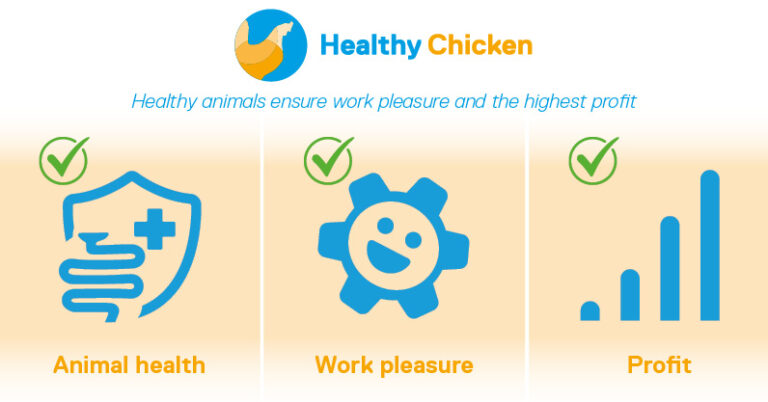 Healthy chicken animal health job satisfaction profit