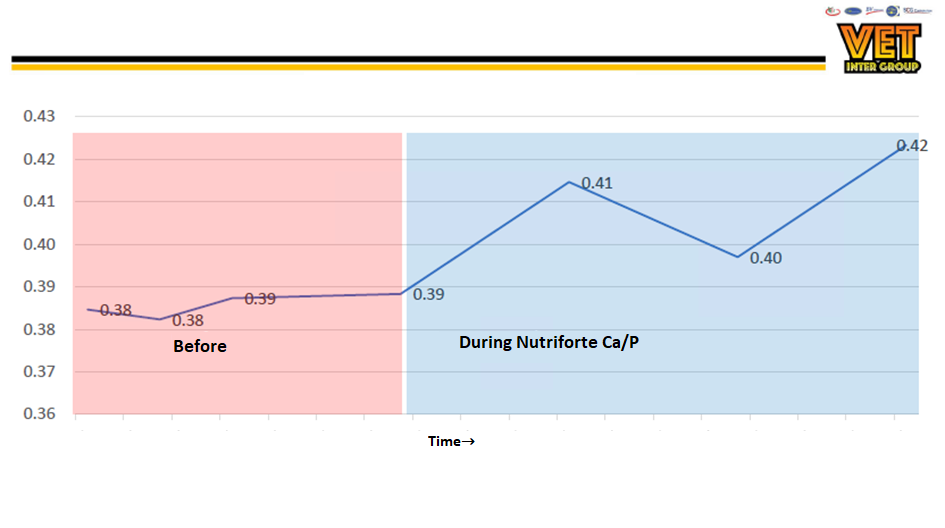 Before Nutriforte Ca/P supplementation, eggshell thickness was between 0.37 and 0.39 mm. With Nutriforte Ca/P supplementation, eggshell thickness increased to 0.42 mm